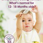 What’s normal for 12- 18 months olds regarding eating?