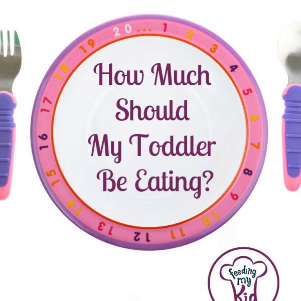 how-much-should-my-toddler-be-eating-feeding-my-kid