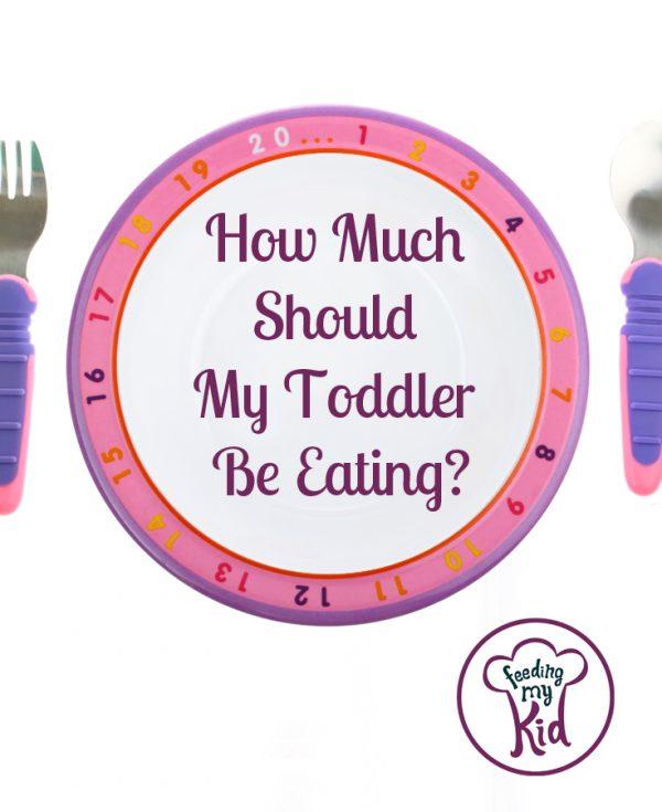 How Much Should My Toddler Be Eating? Feeding My Kid