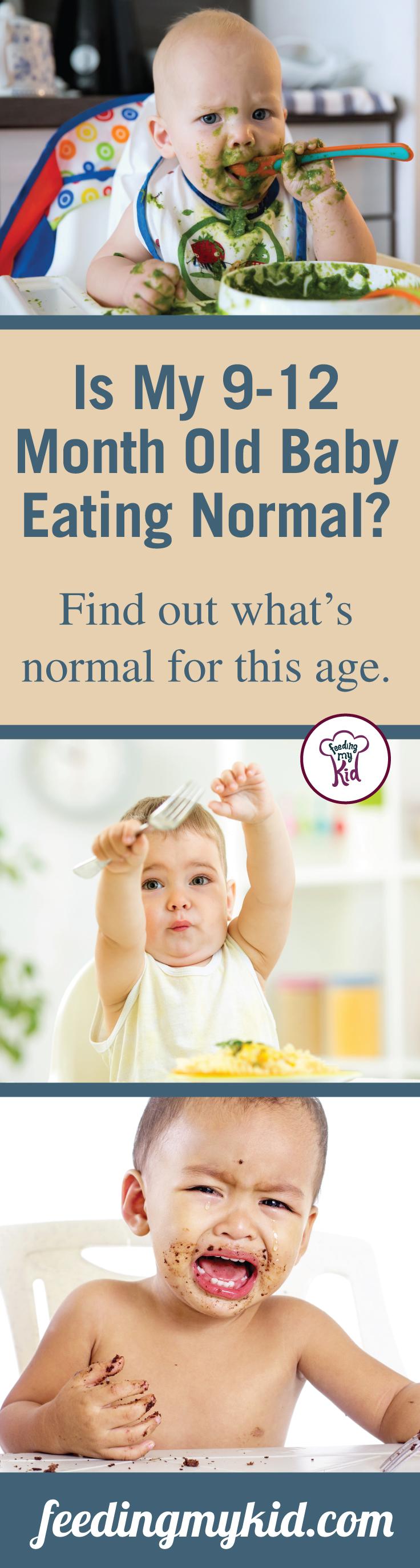This is a must pin! What is a normal eating schedule for a 9 month old? In this article you will find out! Feeding My Kid is a website for parents, filled with all the information you need about how to raise your kids, from healthy tips to nutritious recipes. #parenting #feedingmykid 