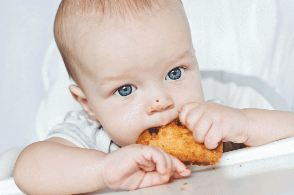 Baby Led Weaning Introducing Solids to Baby