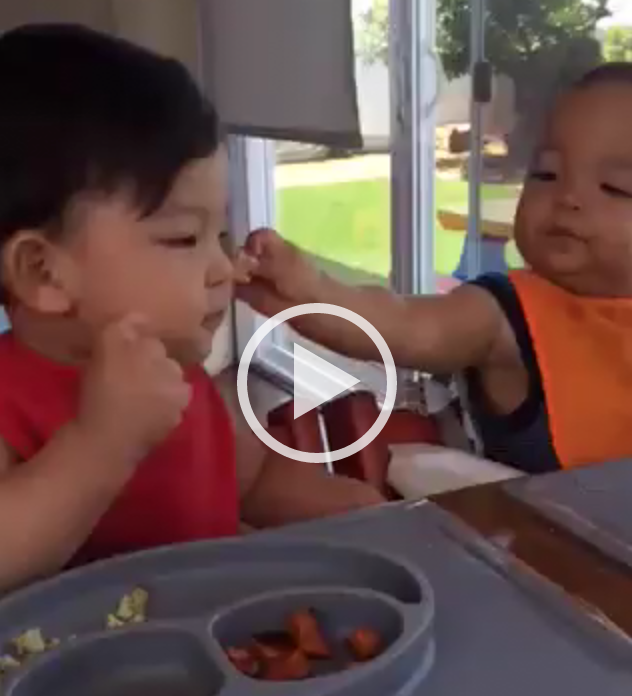 Watch Super Cute Video of Kid's Feeding Each Other Lunch