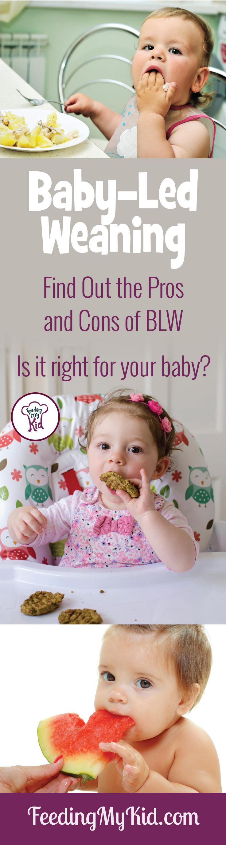 What is Baby-led Weaning?