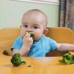 Baby-Led Weaning-Introducing Solids. FInd out how to skip the purees and go straight to solids with your baby.
