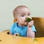 Baby-Led Weaning Tips