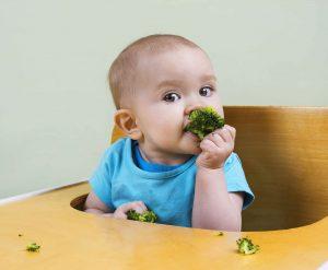 Baby-Led Weaning Tips