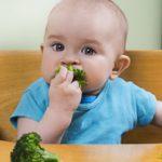 Baby-Led Weaning. Find out what it is and if you should be doing baby-led weaning BLW with your baby?