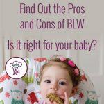 What is Baby-led Weaning?
