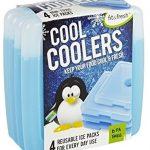Cool Coolers Ice Packs