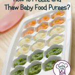 How to Thaw and Freeze Baby Food Puree.  Find out how to make and store baby food? Introducing Solids To Your Baby.