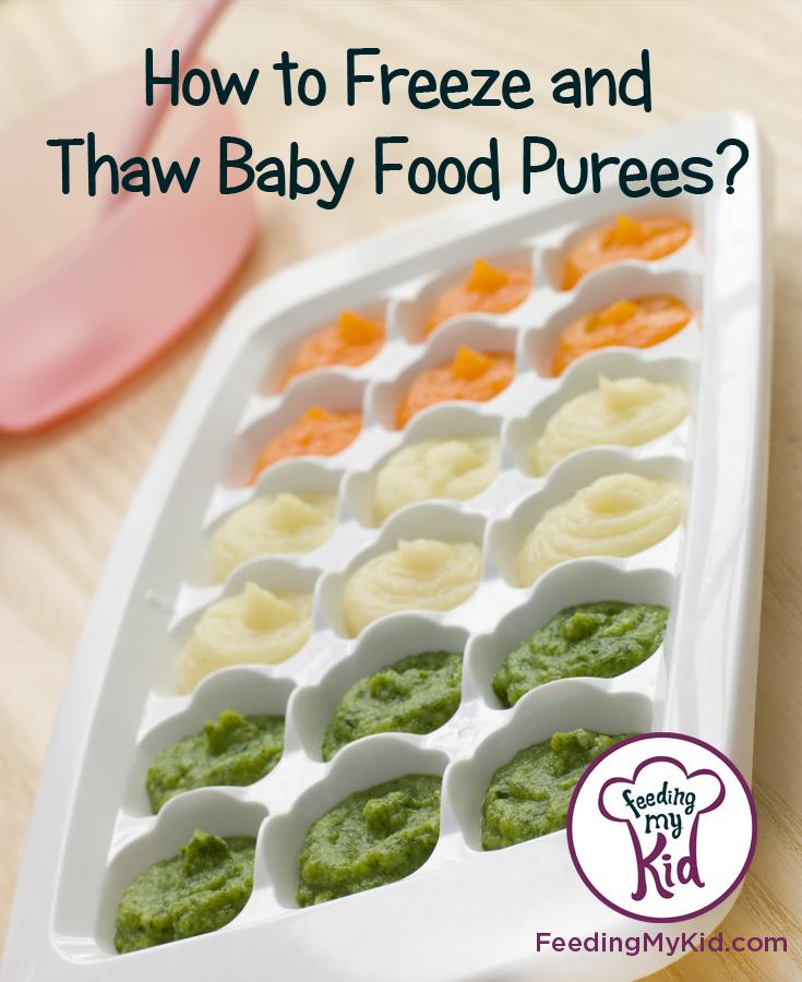 Storing pureed 2024 baby food