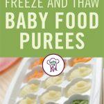 How to Freeze Baby Food s
