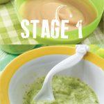 Introducing Solids Baby Food Stages