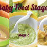 baby-food-stages-3-up-1