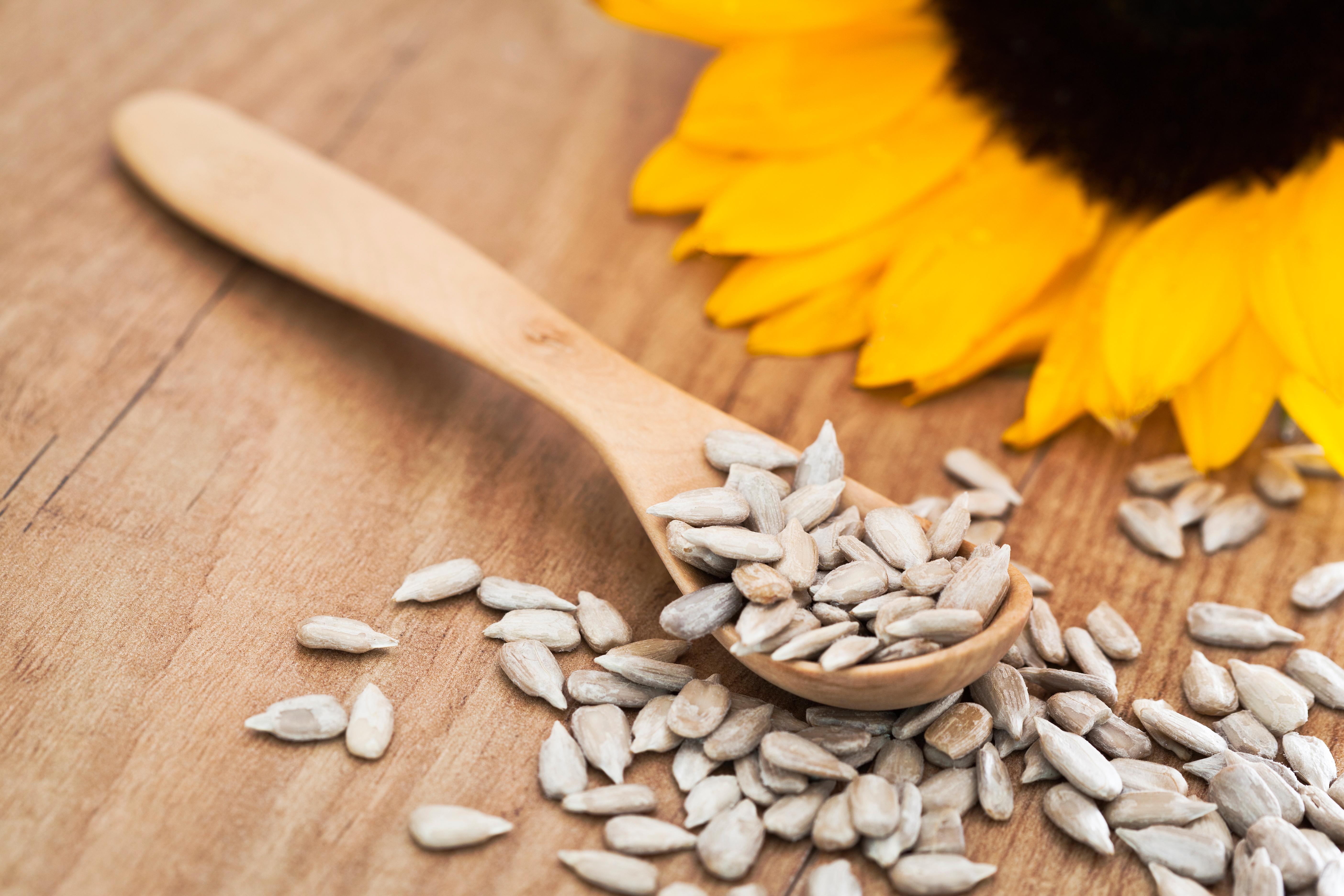Baby and Toddler Finger Foods- Sunflower seeds are a great finger food snack for your little one.