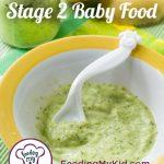 stage 2 baby food