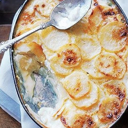 Horseradish Potato Gratin Feeding My Kid