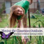 Moving The Classroom Outdoors: Schoolyard Enhanced Learning In Action