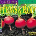 Plant Stems And Roots (Look Once, Look Again Science Series)