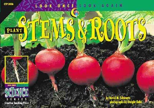 Plant Stems And Roots (Look Once, Look Again Science Series)