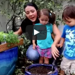 Find Out Why You Should Be Growing a Garden with Your Kids. Watch the Video. We filmed my twins in the garden having a great time, while I talk about the benefits. It’s a fun watch!