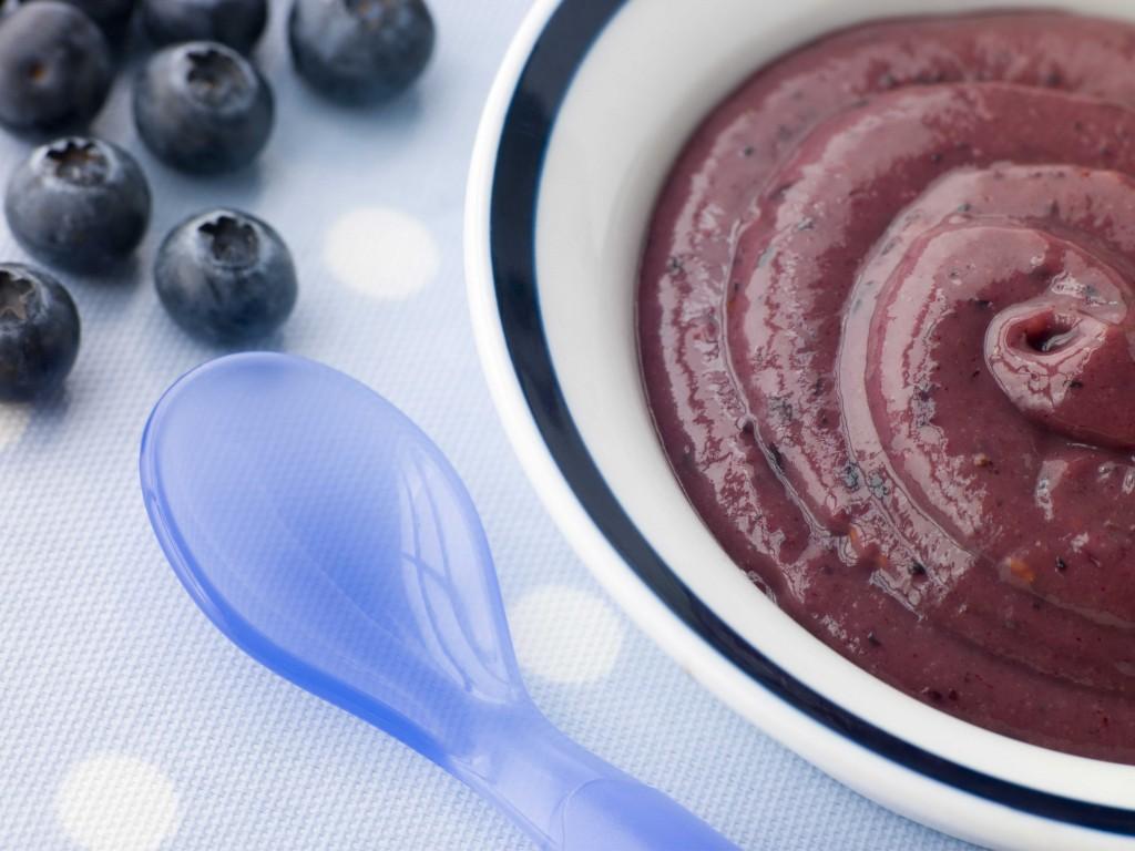 Blue Berry Puree 