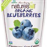 Nature’s All Foods Freeze-Dried Blueberries, 1.2 Ounce