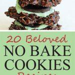 No Bake Cookies Recipes short