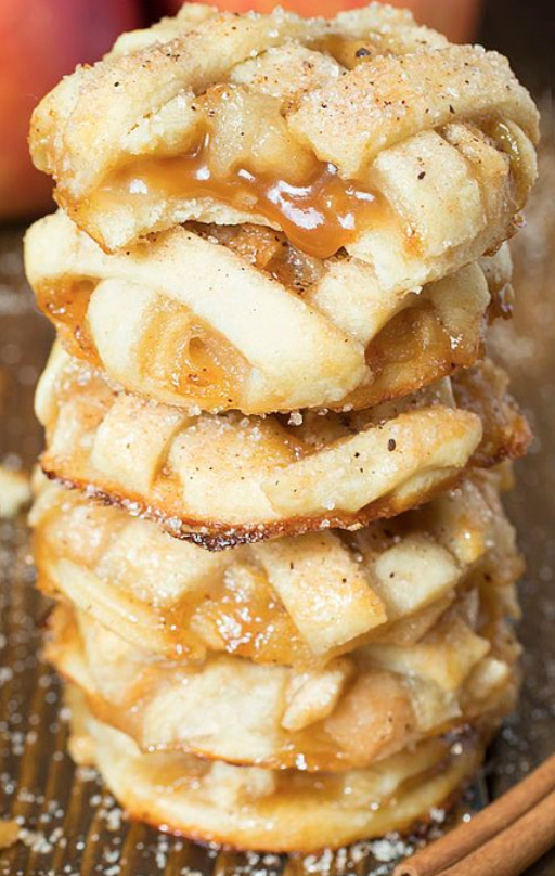 21 Fantastic Cookie Recipes short -This past apple pie recipe will make you and your family super happy! Give them go! Check out our other recipes here! 