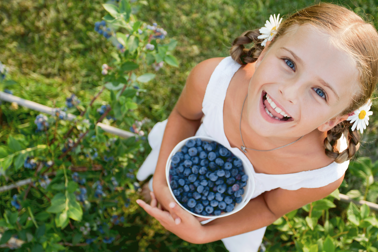 How to Improve Academic Performance with Superfoods - Blueberries are a superfood. They offer many benefits and are really tasty. They are good for memory and brain development. Check out more information about superfoods here!
