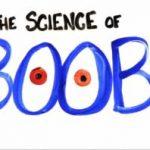 Check out this interesting and entertaining video about the science of boobs. It is informative and extraordinarily comical.