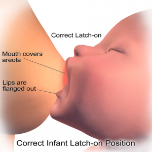 Breastfeeding 101: How to Increase Your Milk Supply Quickly