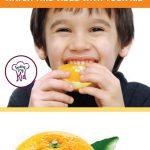 How to Get Kids to Eat Healthier Series: Kids Eating Oranges