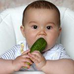 kids-eating-cucumbers