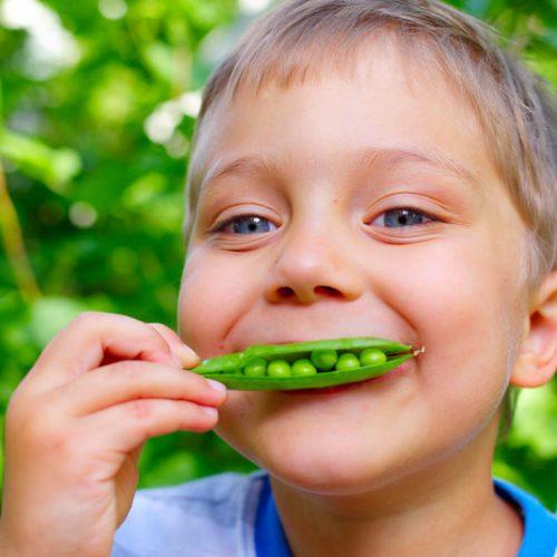 Горох для детей. Ребенок ест зелень. Человек горох.