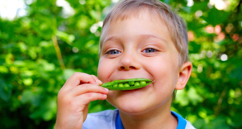 Veggies for kids! Learn how to get kids to eat vegetables and fruits by watching videos of kids eating healthy. Watch kids eat peas.