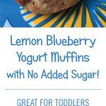 Lemon Yogurt Healthy Blueberry Muffins Recipe