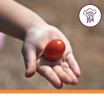 How to Get Kids to Eat Healthier Series: Kids Eating Grape Tomatoes