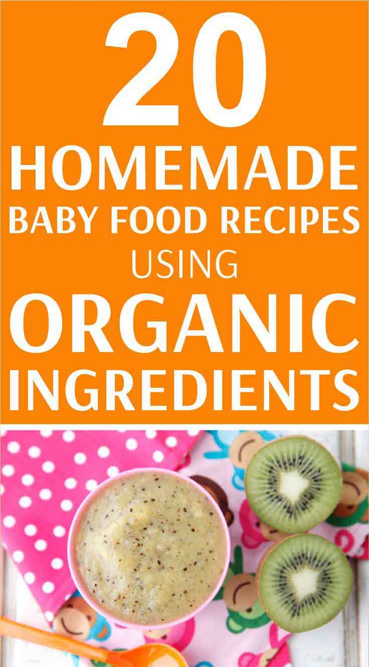 Organic Baby Food Recipes You Can Make At Home