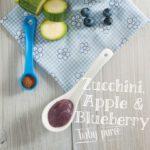Zucchini Apple Blueberry and Cinnamon Baby Puree