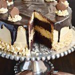 Chocolate Peanut Butter Cheesecake Cake with DOVE Chocolate