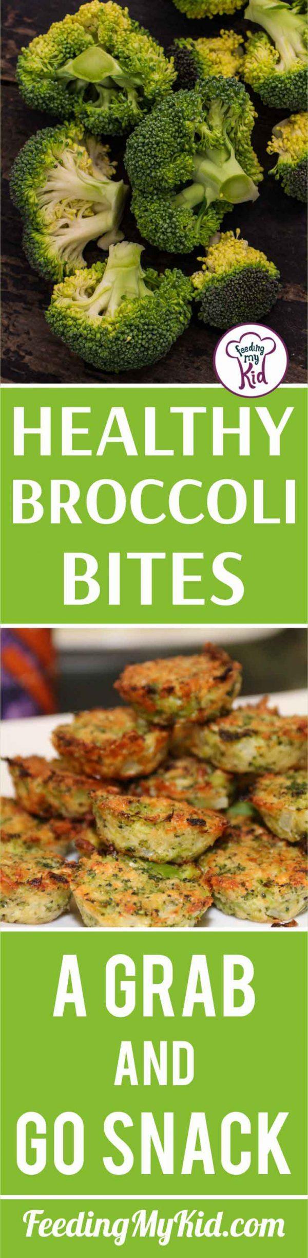 Broccoli Bites Make an Easy and Healthy Snack for Your Kids