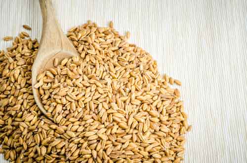 Farro comes from the grains of wheat, so be careful if you're following a gluten-free diet.