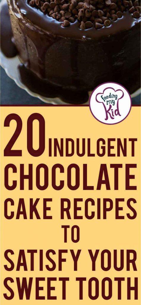 These chocolate cake recipes will satisfy that sweet craving! If you're a chocolate lover, you have to try one of these recipes. Yum!