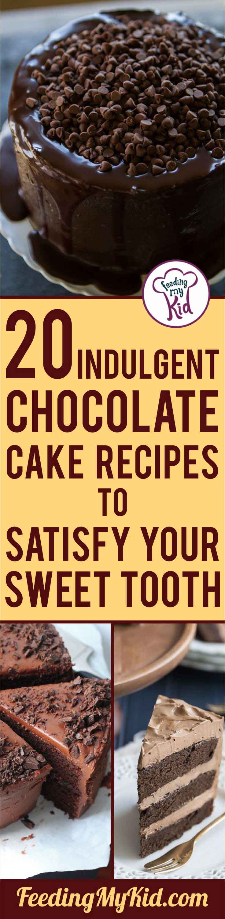 These chocolate cake recipes will satisfy that sweet craving! If you're a chocolate lover, you have to try one of these recipes. Yum!